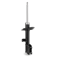 Shock / Strut