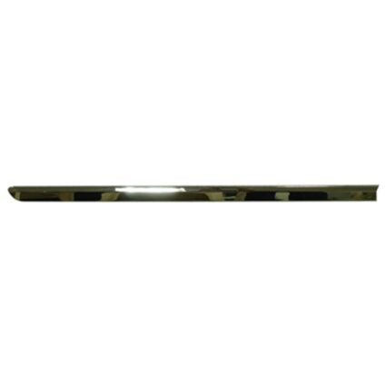 Door Molding Rear Right for Buick Allure LaCrosse