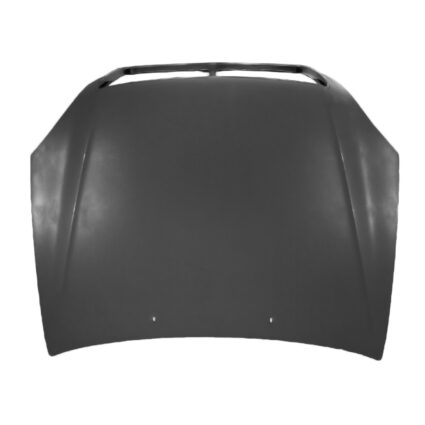 Hood Panel Assembly for Lexus LS430 2001–2003