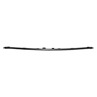 Bumper Cover Molding Front Center Bronze for Chrysler 300 2016–2022