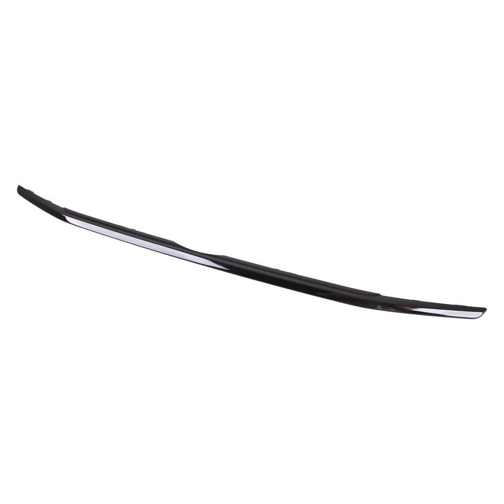 Grille Molding Lower for Ford EcoSport S 2018–2022