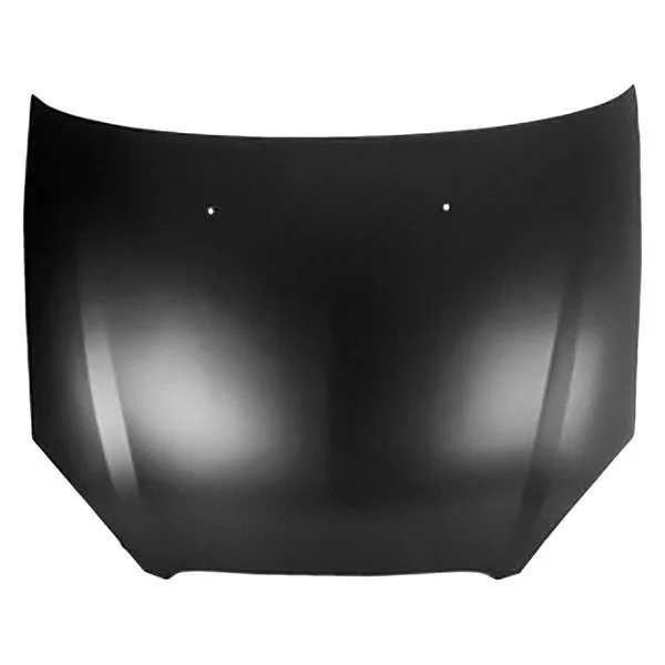 Hood Panel Assembly CAPA for Ford Taurus 2000–2007