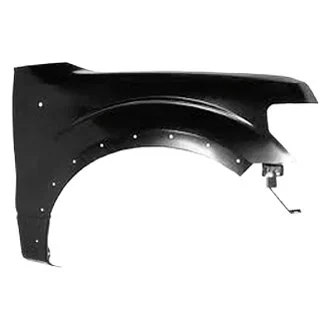 Fender Front Right w/Wheel Opening Moulding CAPA for Ford F-150 2009–2014