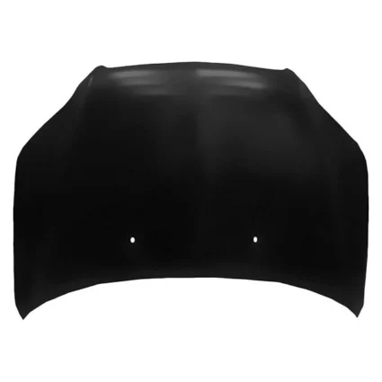 Hood Panel Assembly for Chevrolet Aveo5 Pontiac G3