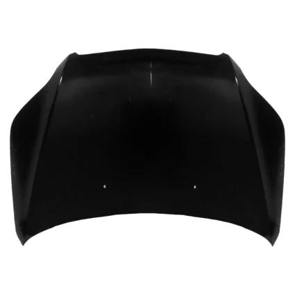 Hood Panel Assembly CAPA for Chevrolet Aveo5 Pontiac G3