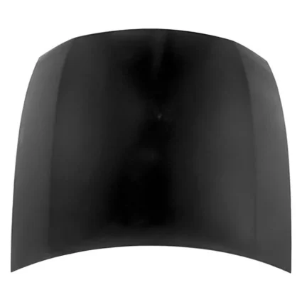 Hood Panel Assembly for Lexus GS300 GS350 GS430 GS460