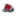 Tail Light Assembly Right Quarter Panel Mounted w/o Sport Package for Lexus IS300 Sedan 2004–2005