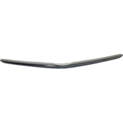 Bumper Cover Molding Front Black for Toyota Prius 2004–2005