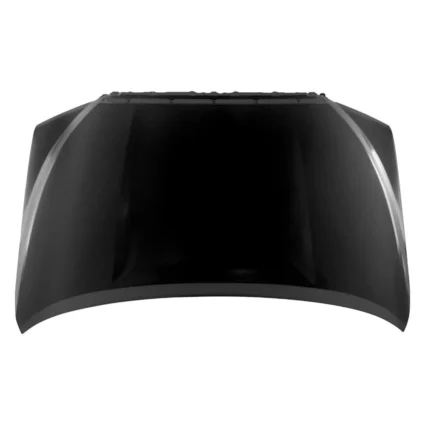 Hood Panel Assembly for Toyota Sequoia Tundra
